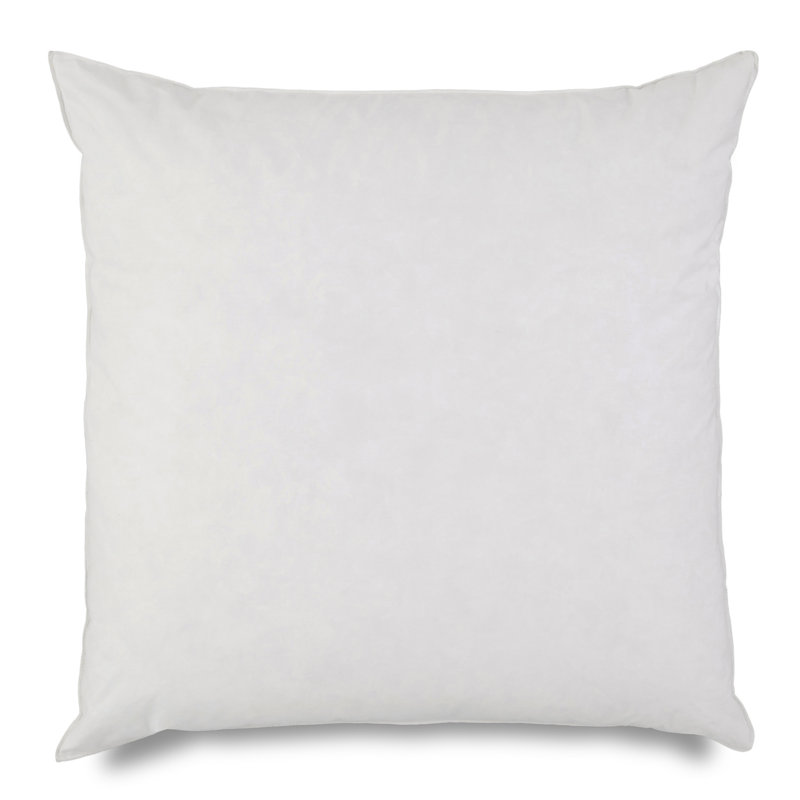 100 Cotton Euro Sham Insert & Reviews AllModern